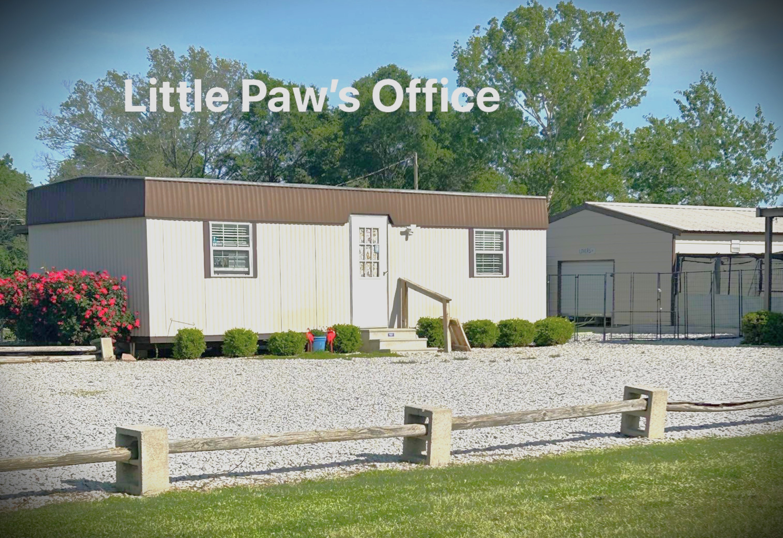 The Little Paws office where families meet their puppies