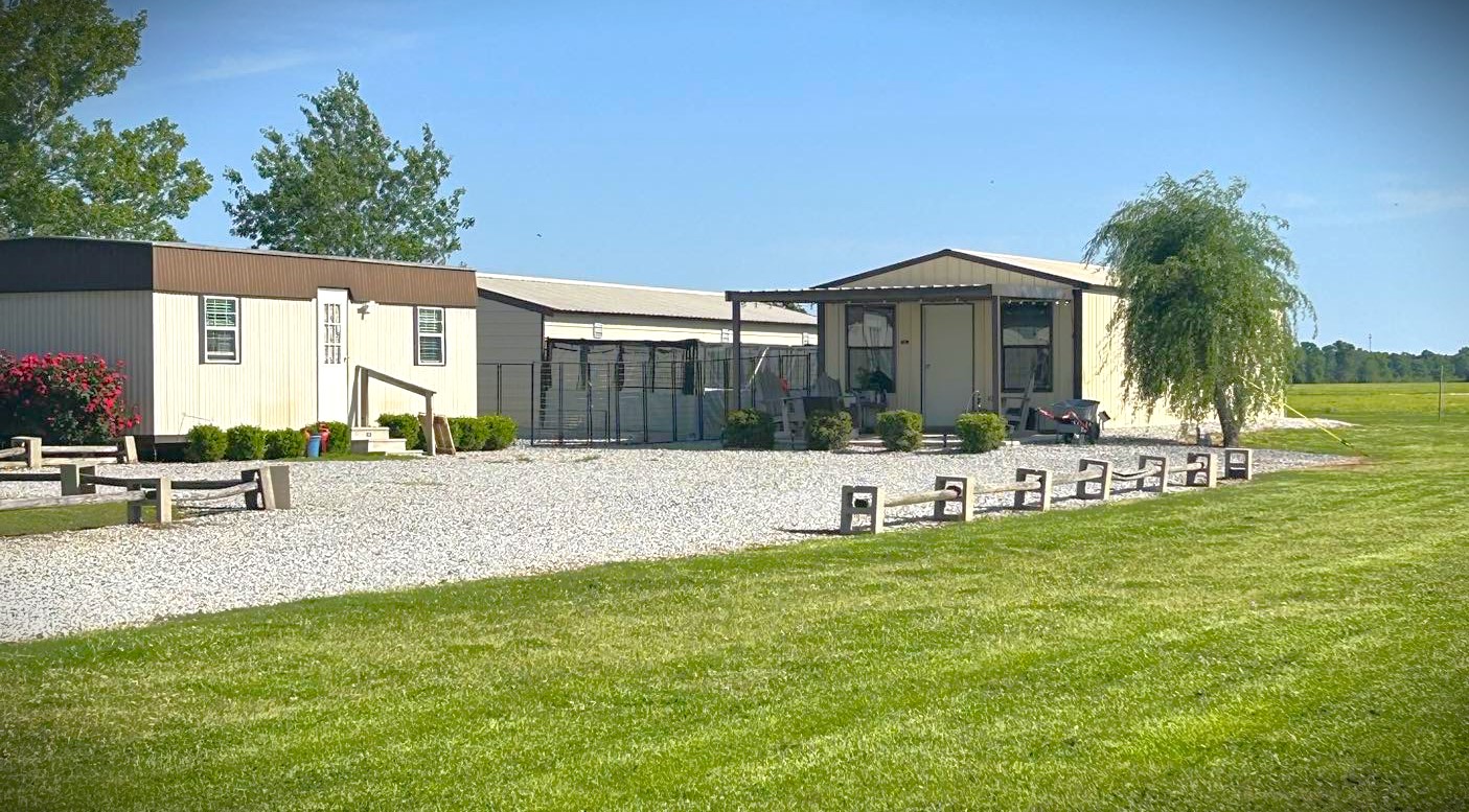 The outdoor and indoor kennel runs at Little Paws